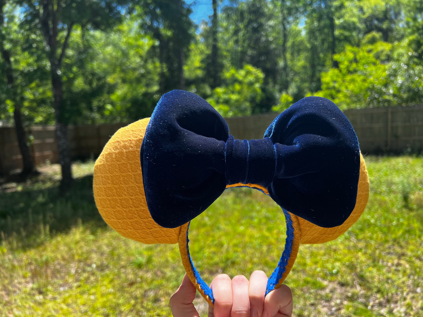 Summer Nights- Parks Inspired Ears