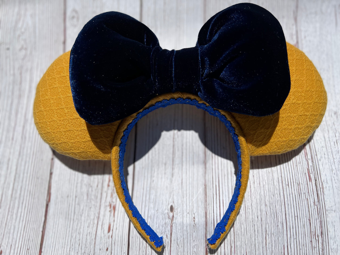 Summer Nights- Parks Inspired Ears