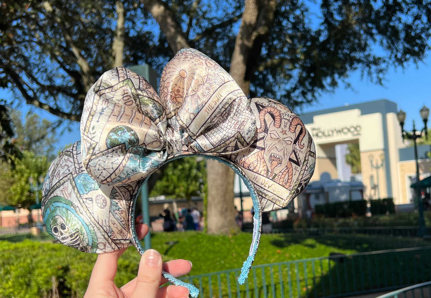 Spirit Readings- Parks Inspired Ears