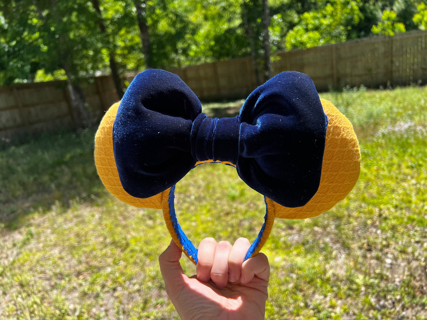 Summer Nights- Parks Inspired Ears