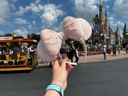 Pretty in Pink- Velvet - Parks Inspired Ears