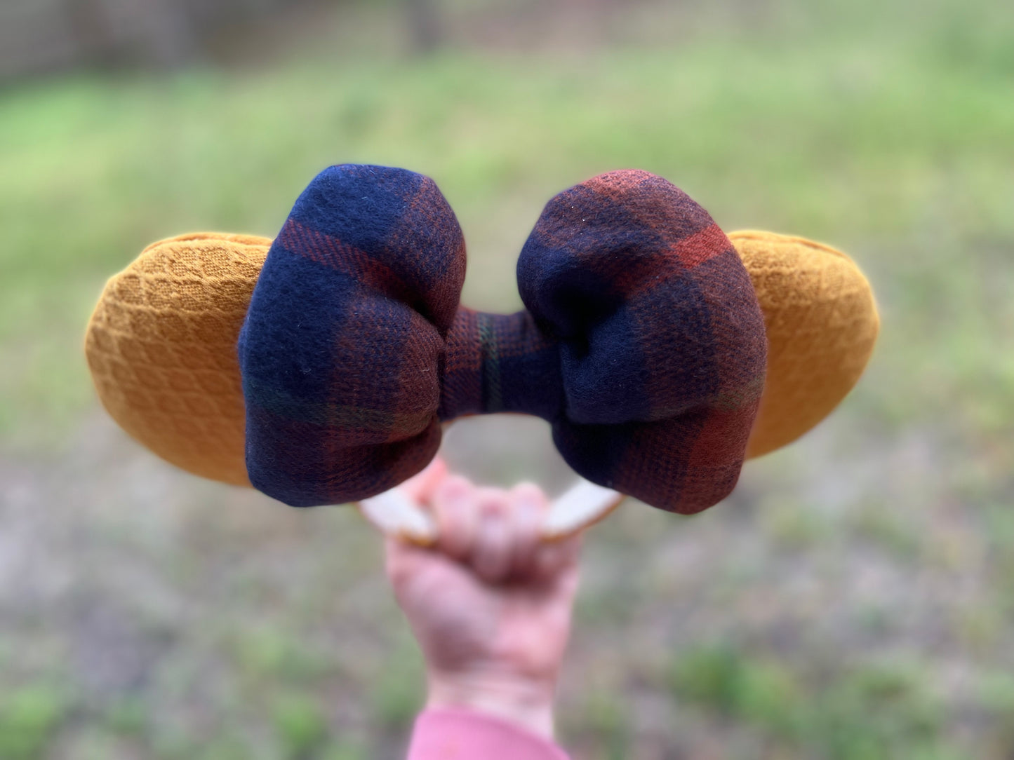 It’s Fall Y’all- Flannel - Parks Inspired Ears